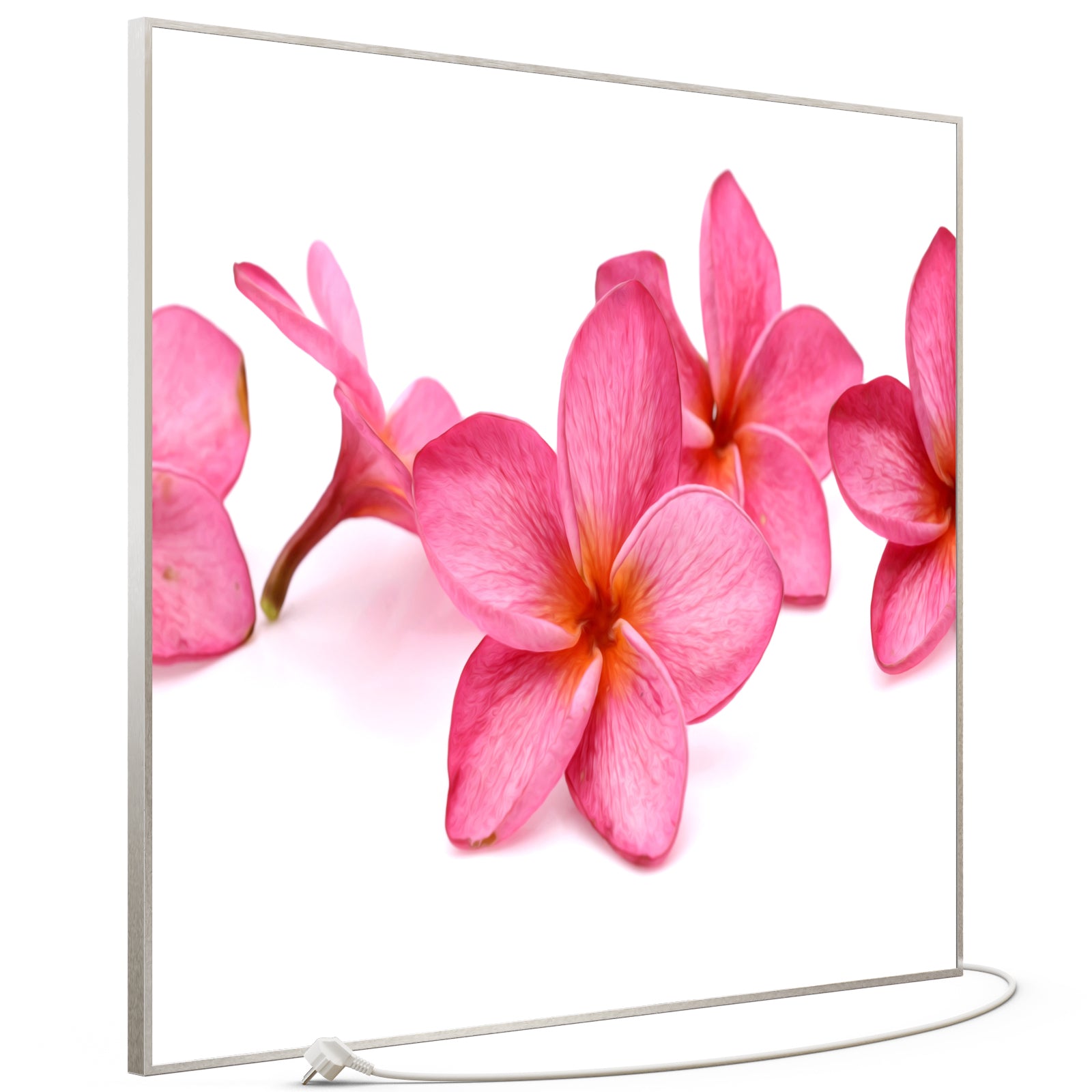 Bild Infrarotheizung 350-1200W Motiv 053 Pink Frangipani