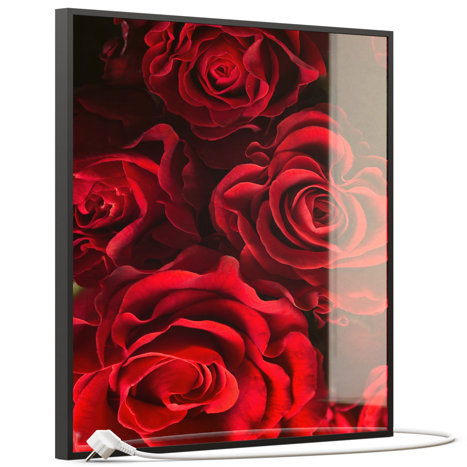 Glas Infrarotheizung 350-1200W Motiv 056H Rote Rosen