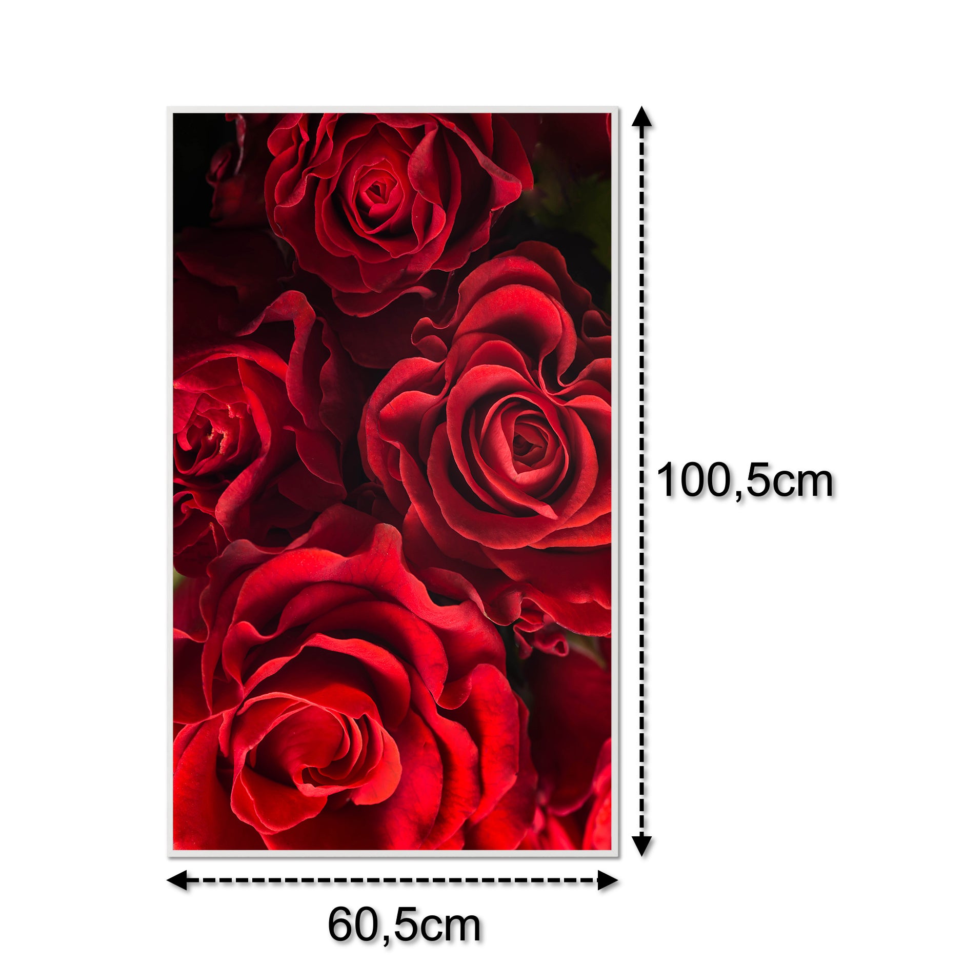 Glas Infrarotheizung 350-1200W Motiv 056H Rote Rosen