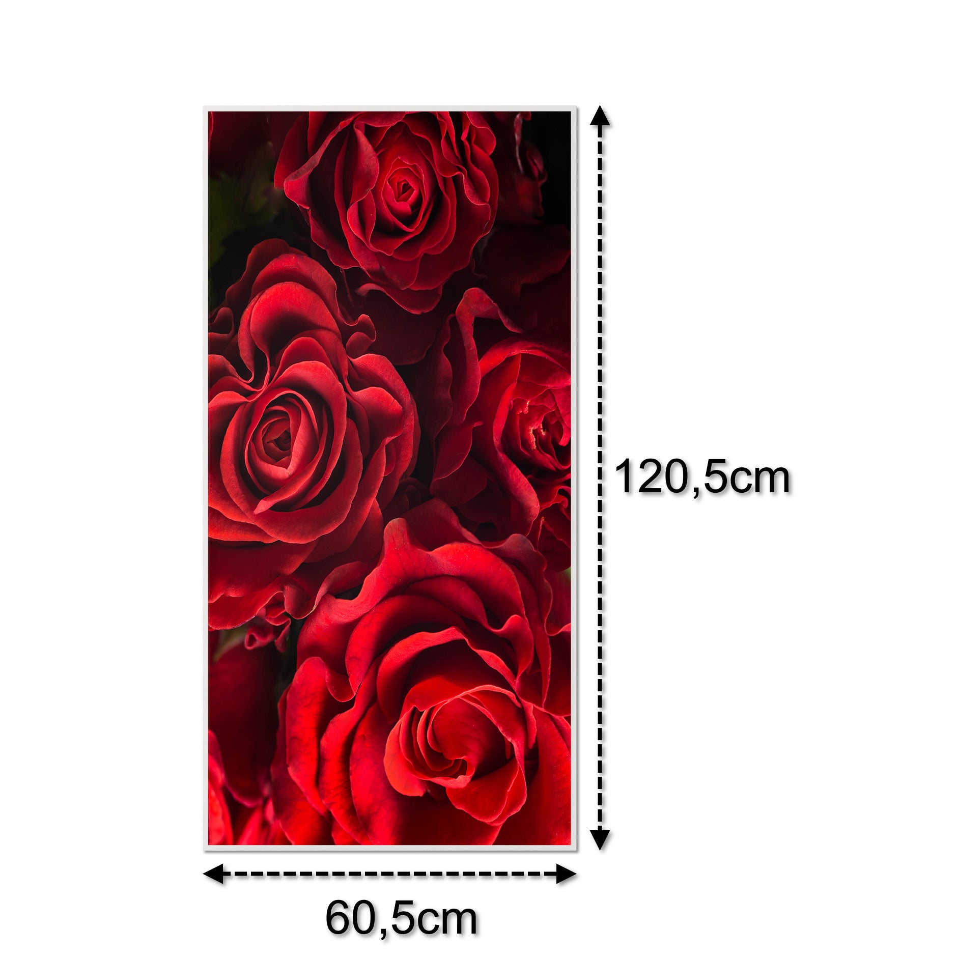 Glas Infrarotheizung 350-1200W Motiv 056H Rote Rosen