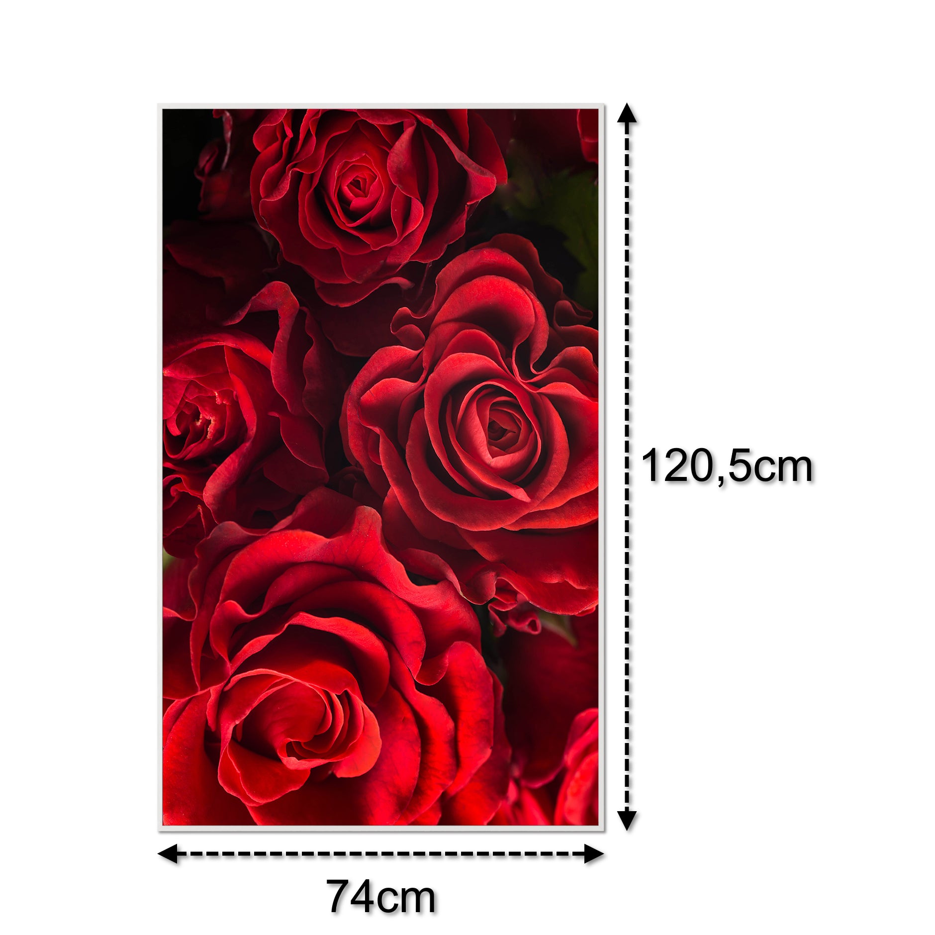 Bild Infrarotheizung 350-1200W Motiv 056H Rote Rosen