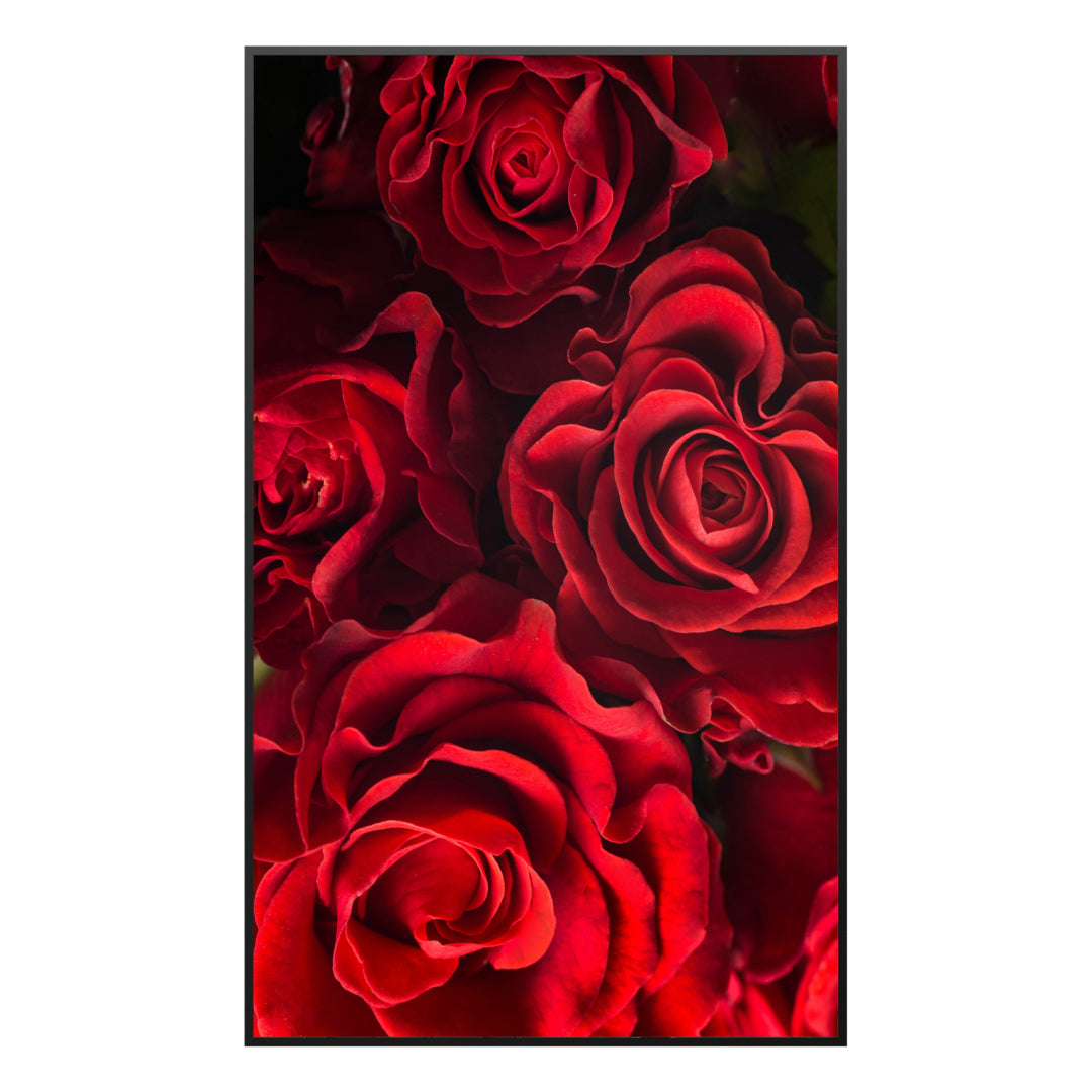 Glas Infrarotheizung 350-1200W Motiv 056H Rote Rosen