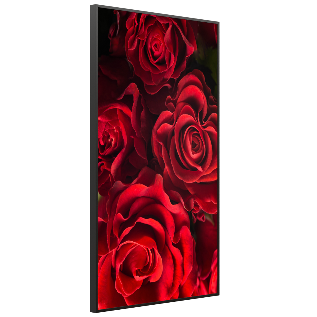 STEINFELD Bild Infrarotheizung 350-1200W Motiv 056H Rote Rosen