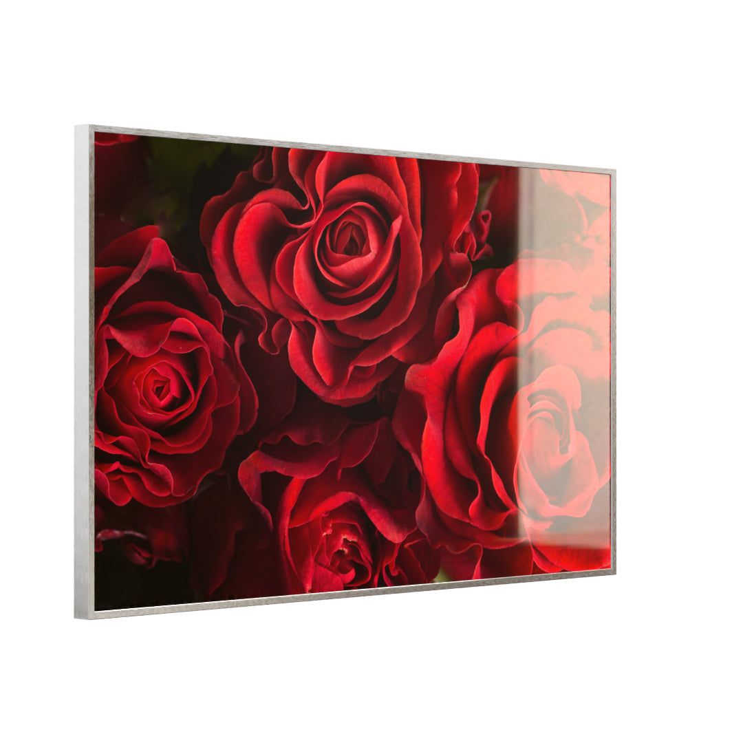 Glas Infrarotheizung 350-1200W Motiv 056 Rote Rosen