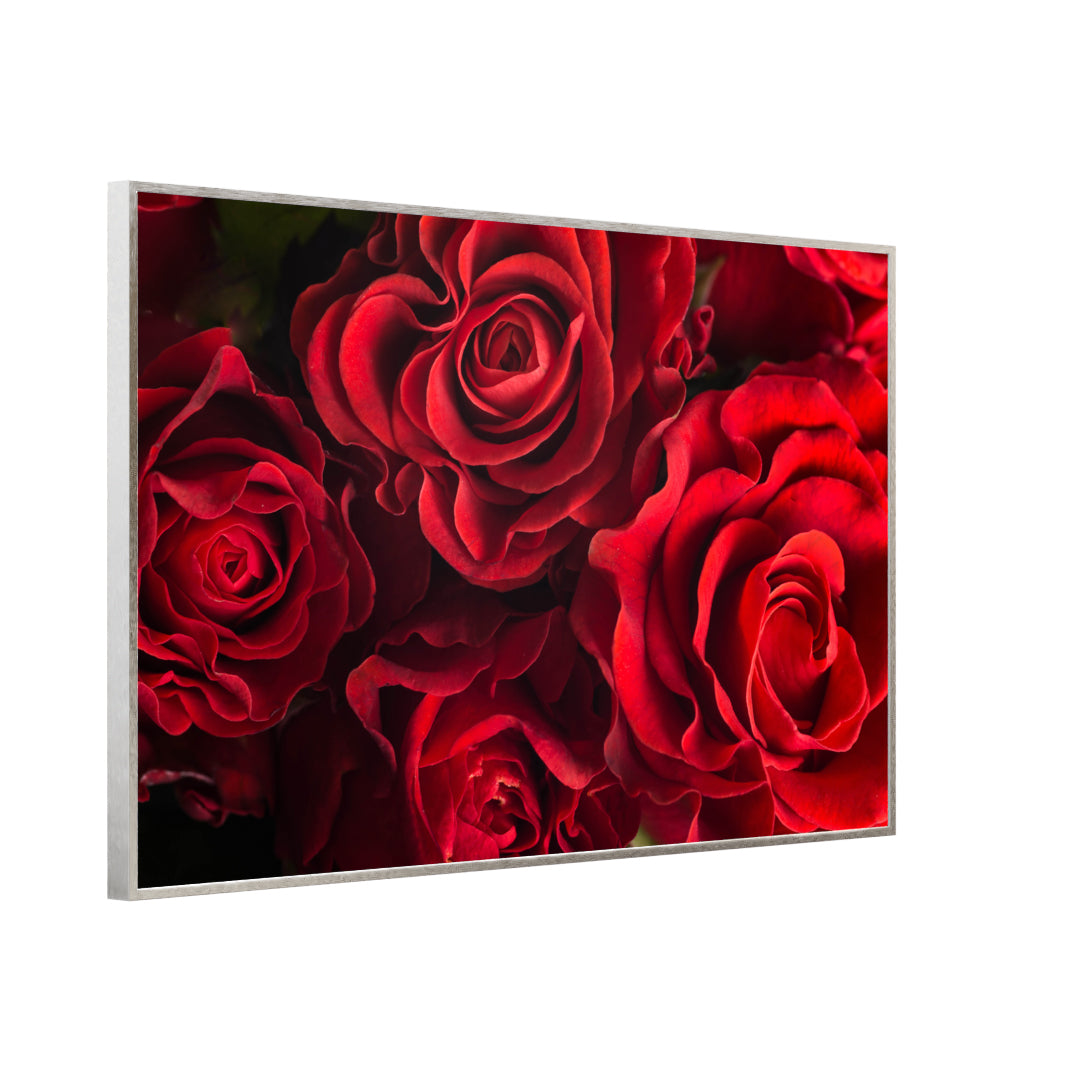 Bild Infrarotheizung 350-1200W Motiv 056 Rote Rosen