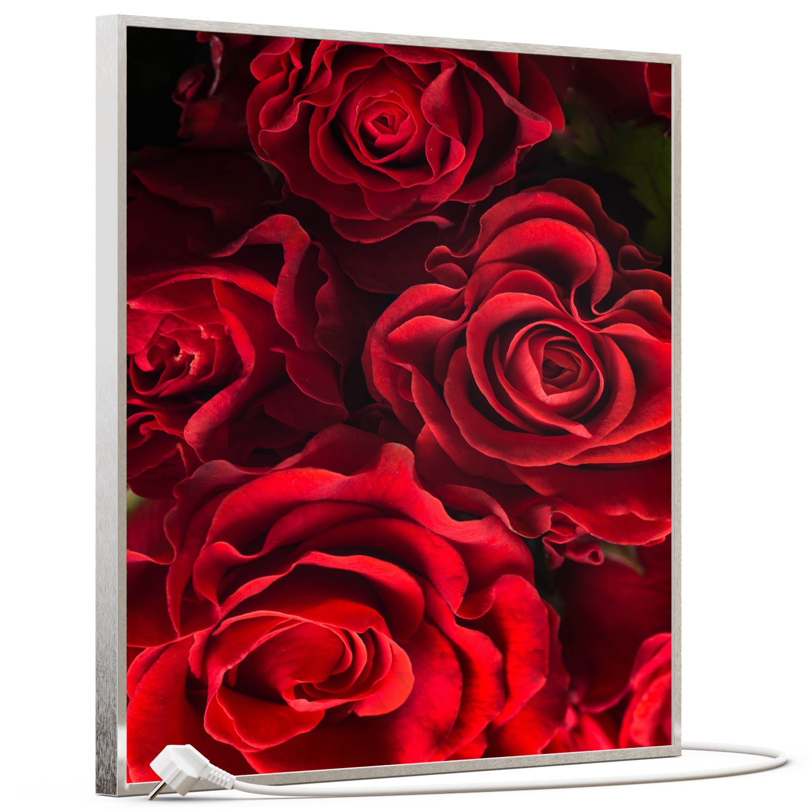 Bild Infrarotheizung 350-1200W Motiv 056H Rote Rosen