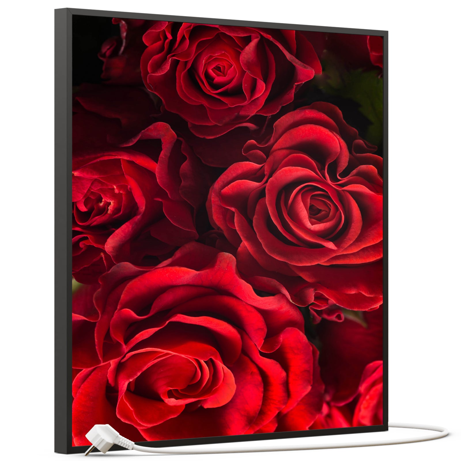 Bild Infrarotheizung 350-1200W Motiv 056H Rote Rosen