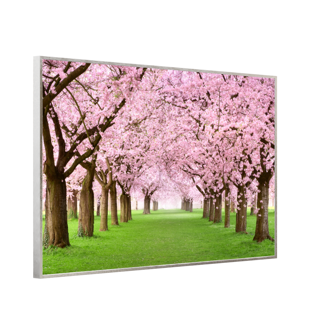 STEINFELD Bild Infrarotheizung 350-1200W Motiv 058 Kirschbäume Allee