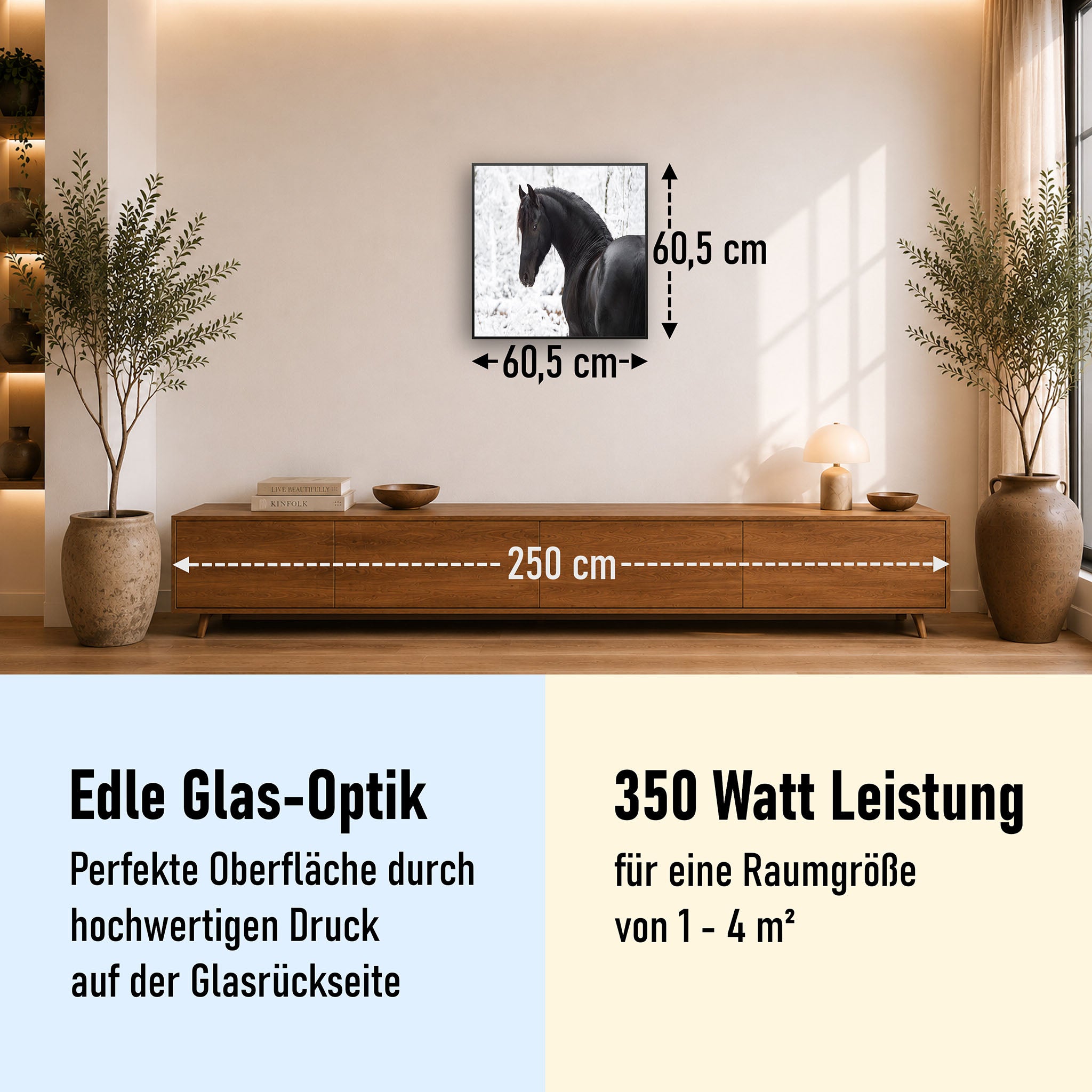 Glas Infrarotheizung 350-1200W Motiv 060 schwarzes Pferd