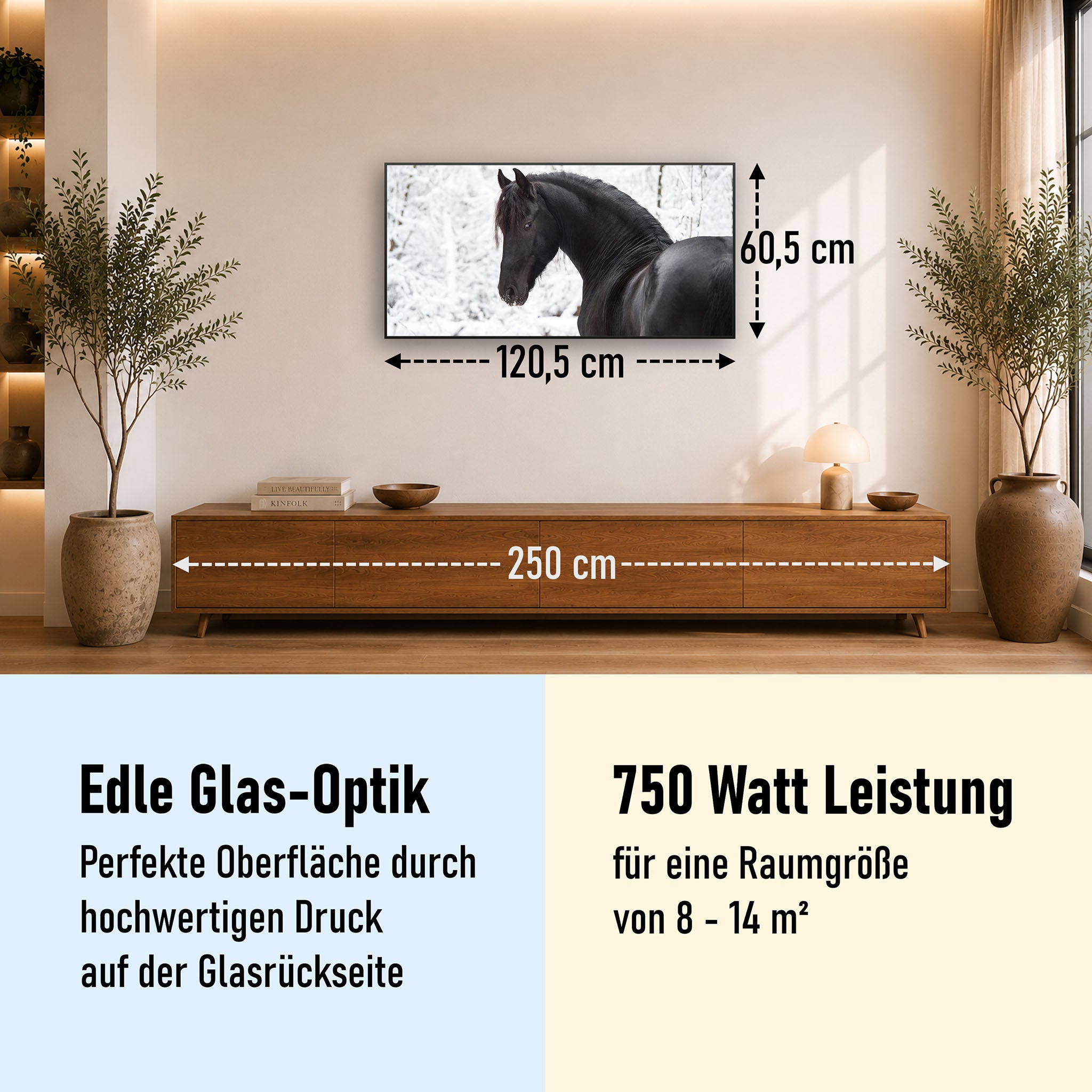Glas Infrarotheizung 350-1200W Motiv 060 schwarzes Pferd