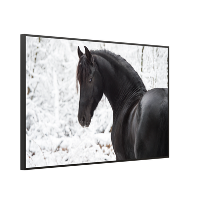 STEINFELD Bild Infrarotheizung 350-1200W Motiv 060 schwarzes Pferd