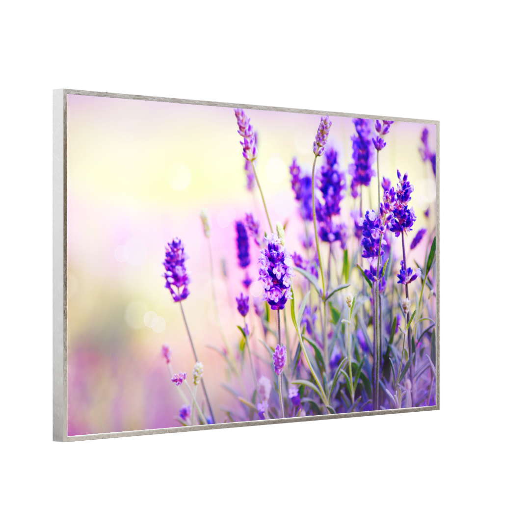 STEINFELD Bild Infrarotheizung 350-1200W Motiv 061 Lavendel