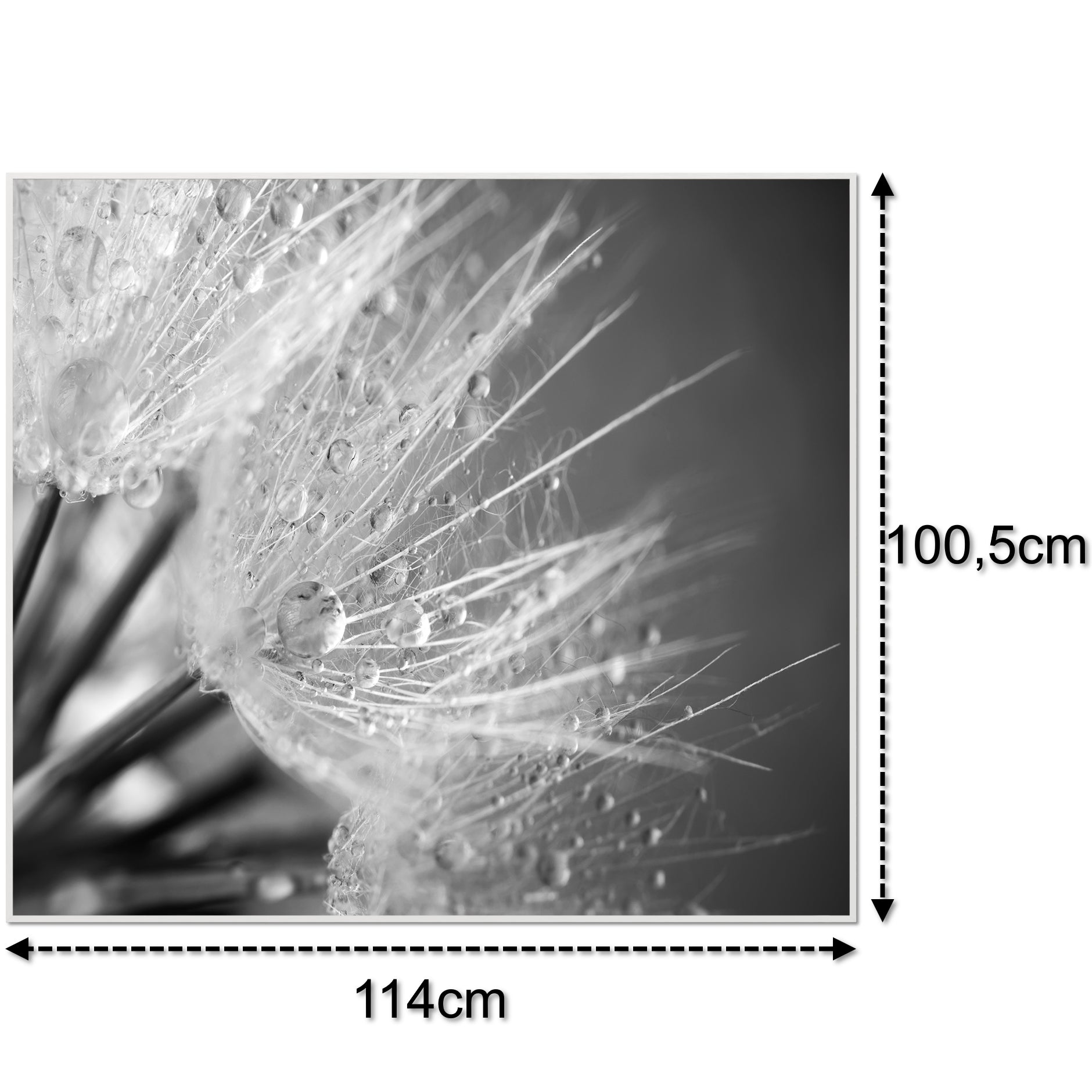 Glas Infrarotheizung 350-1200W Motiv 063 Löwenzahn