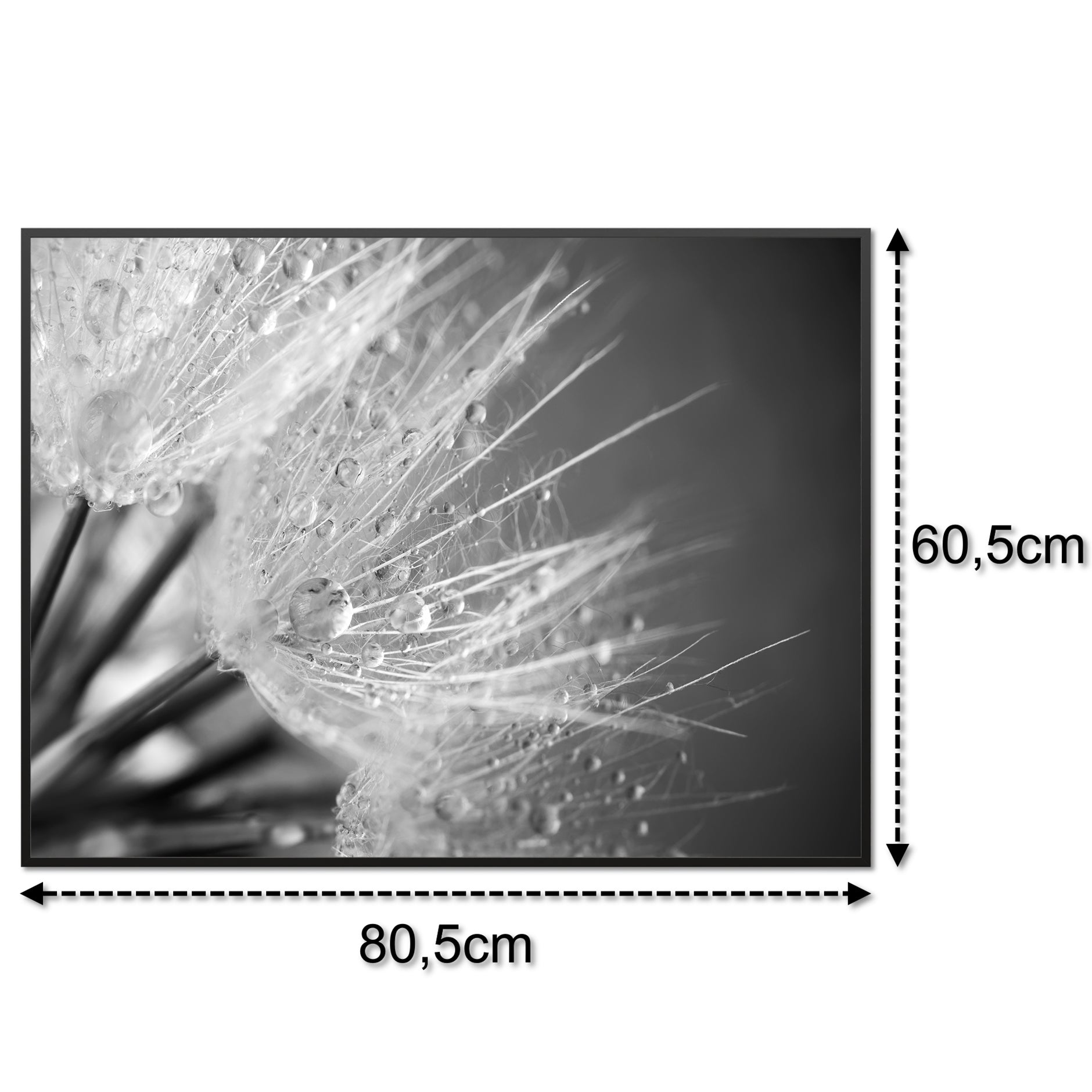 Glas Infrarotheizung 350-1200W Motiv 063 Löwenzahn