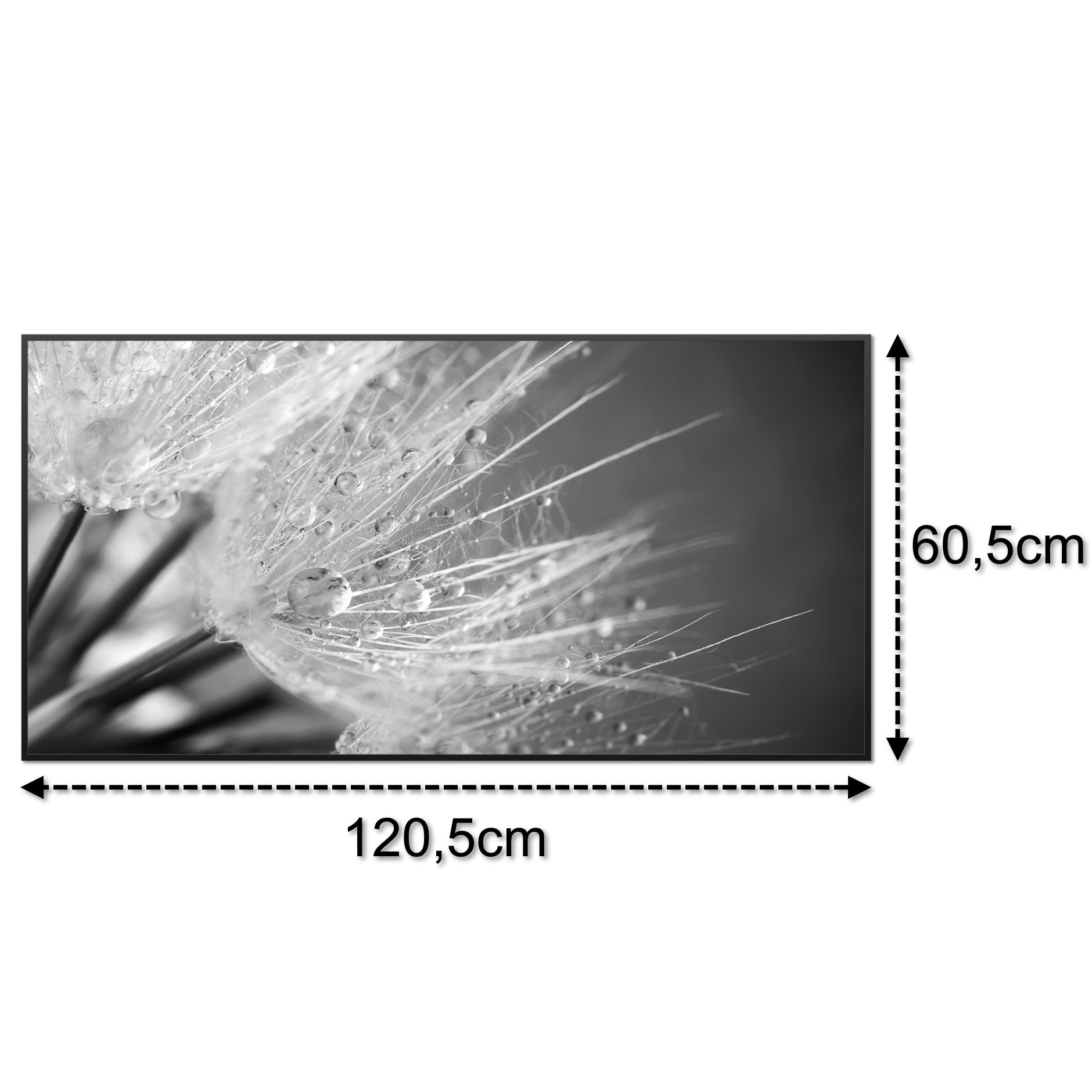 Glas Infrarotheizung 350-1200W Motiv 063 Löwenzahn