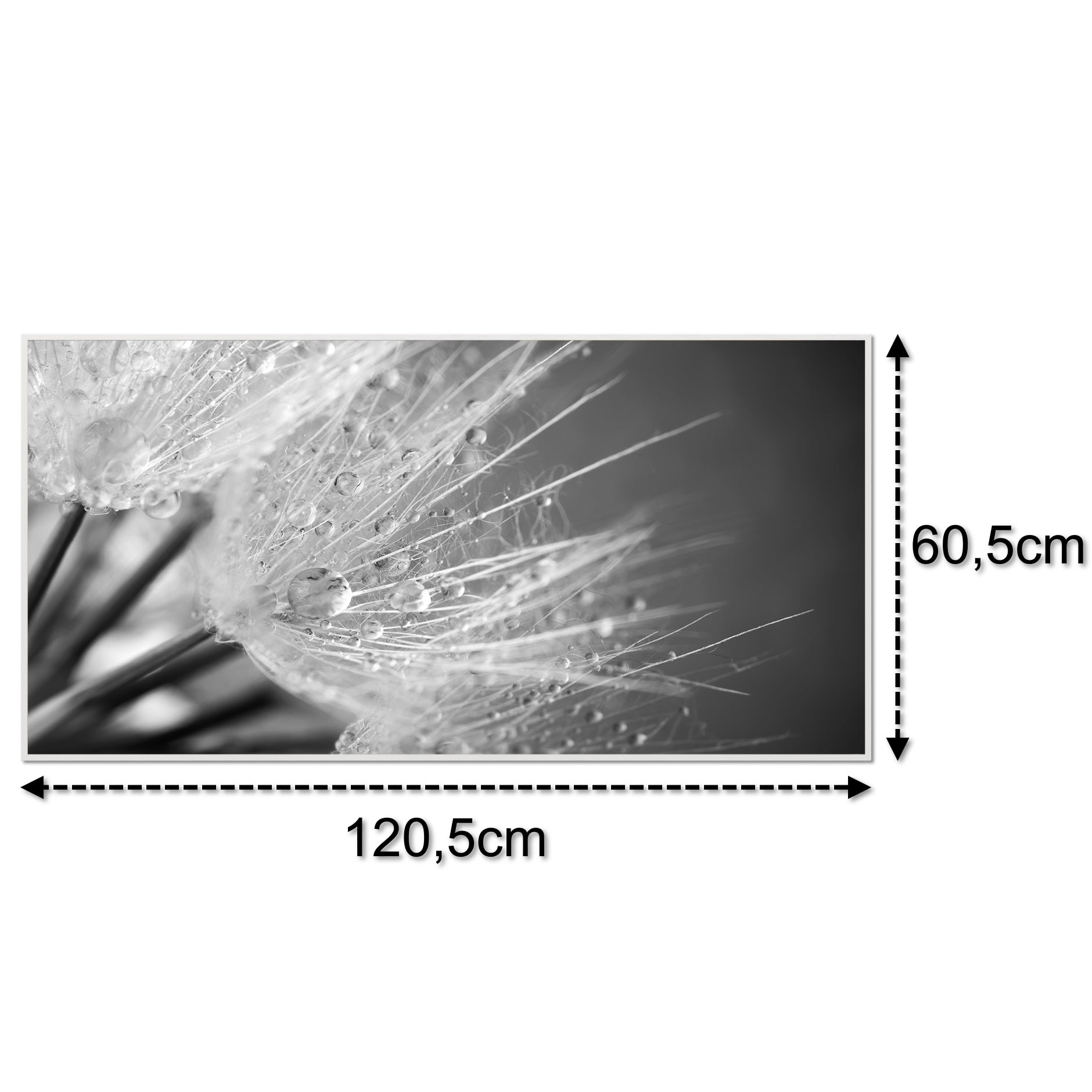 Glas Infrarotheizung 350-1200W Motiv 063 Löwenzahn