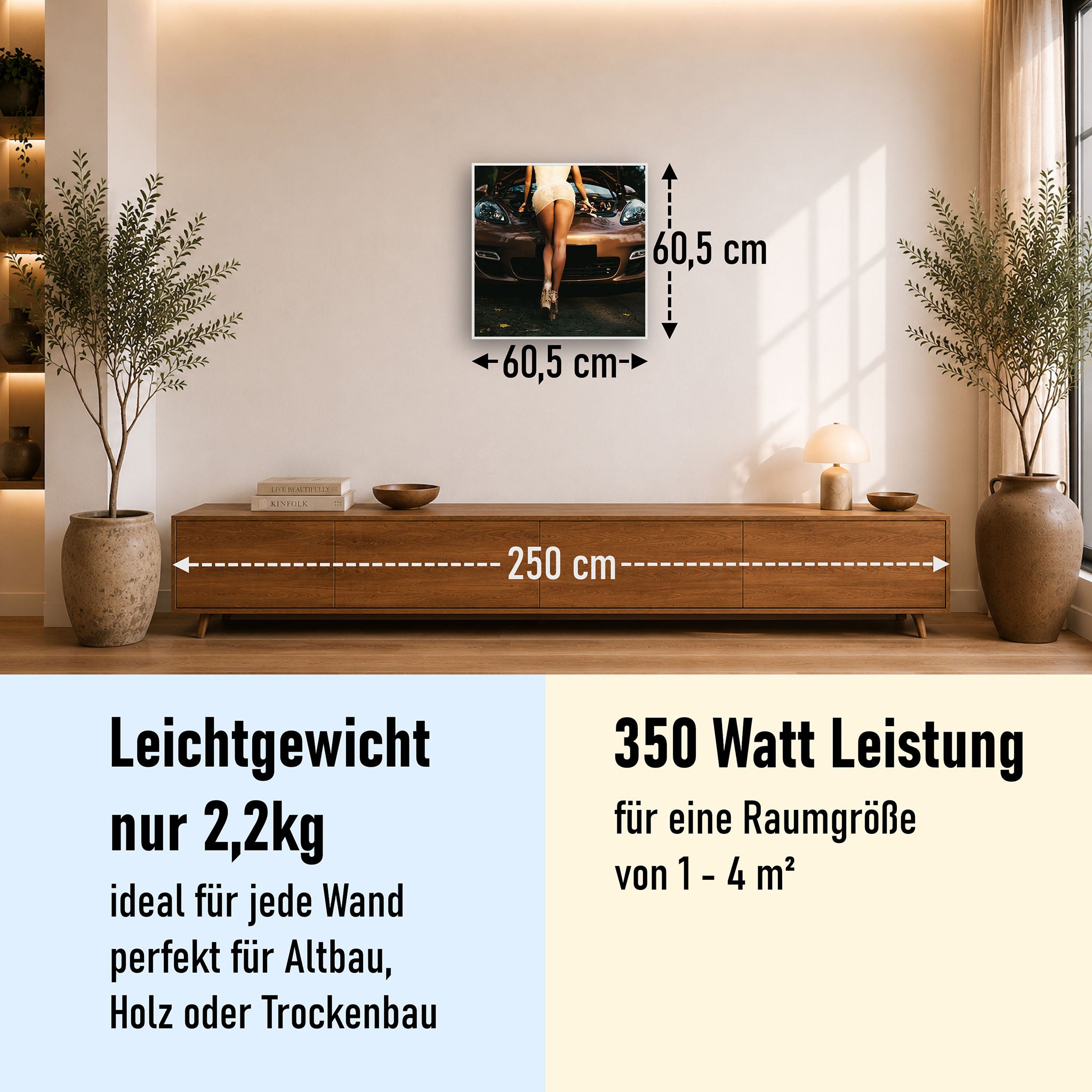 Bild Infrarotheizung 350-1200W Motiv 064 Car Service