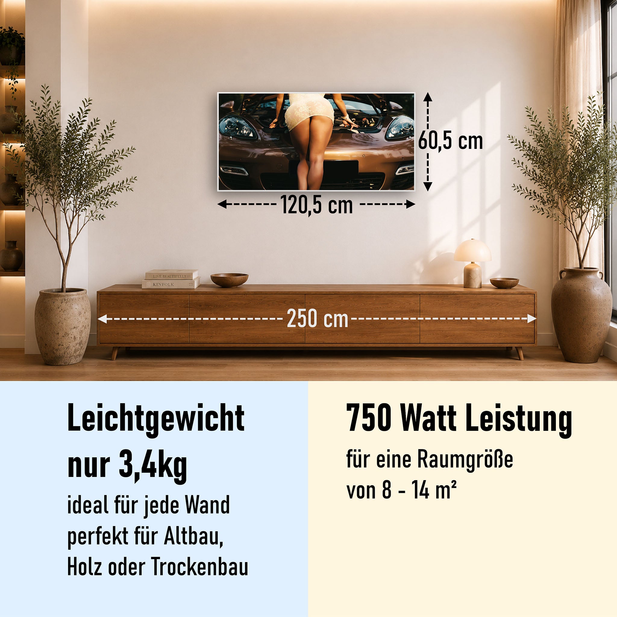 Bild Infrarotheizung 350-1200W Motiv 064 Car Service
