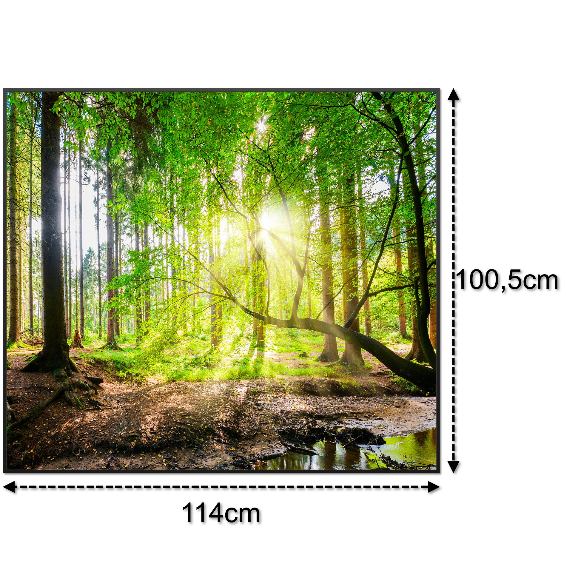 Bild Infrarotheizung 350-1200W Motiv 067 Wald Panorama