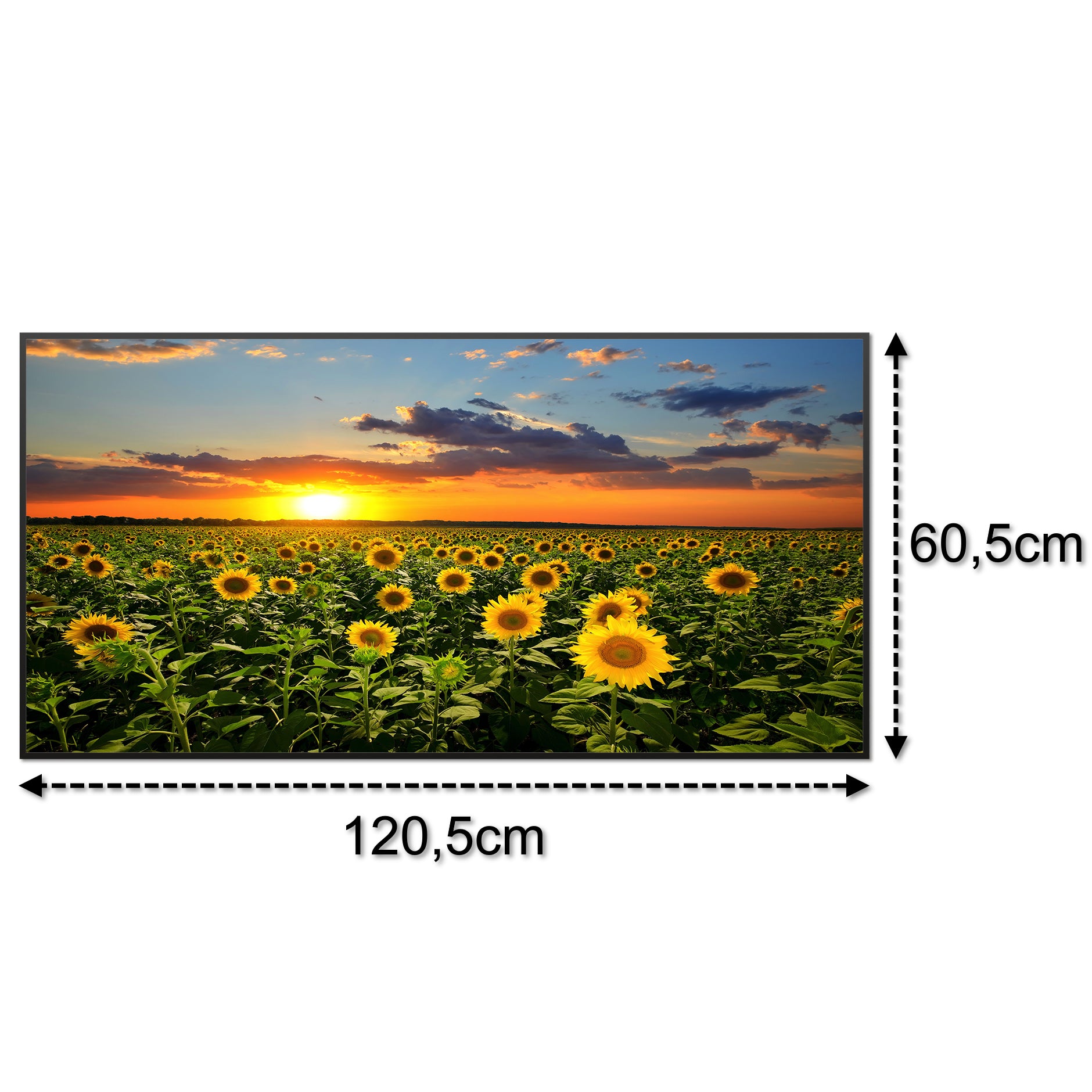 Bild Infrarotheizung B-Ware 750W B19