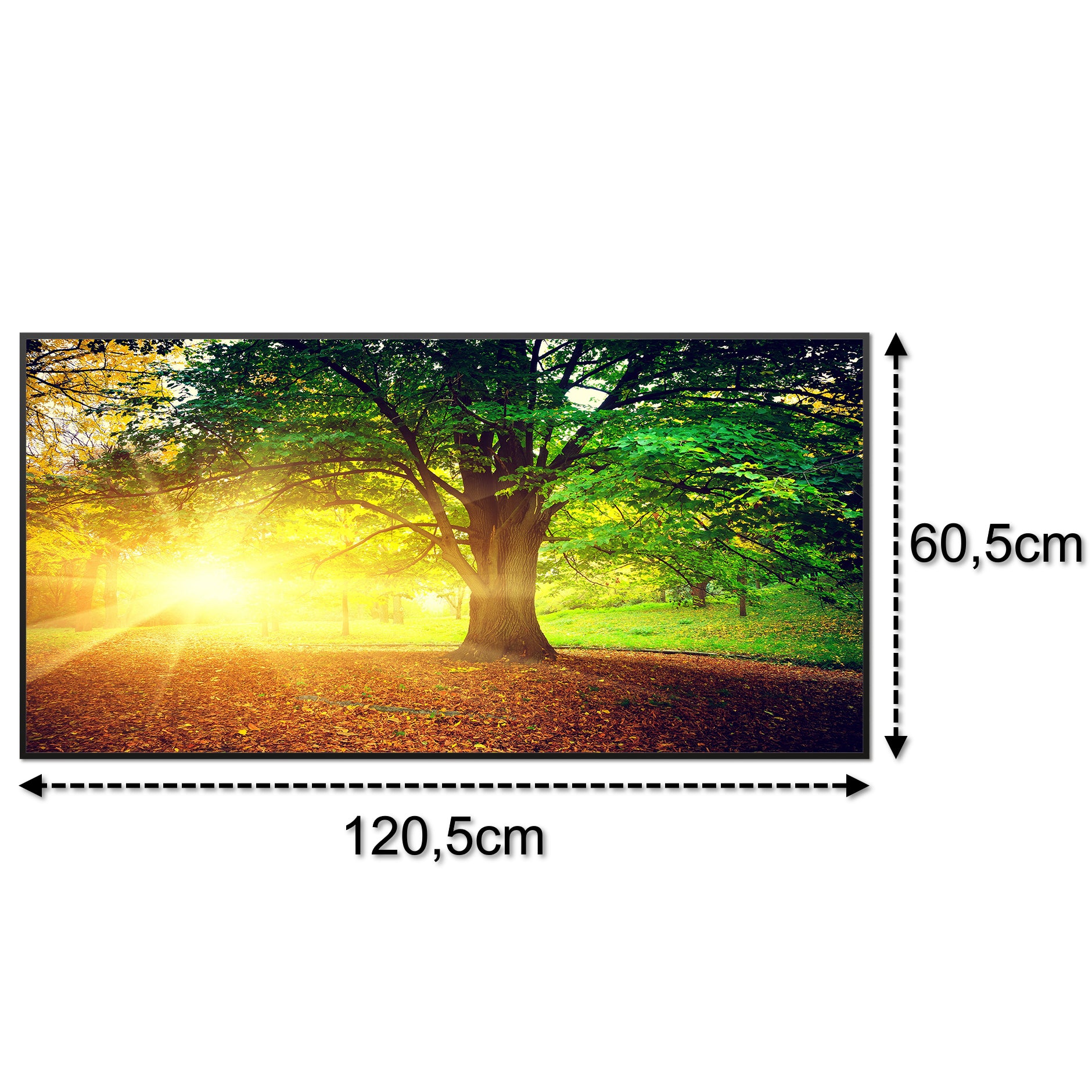 Bild Infrarotheizung B-Ware 750W B39