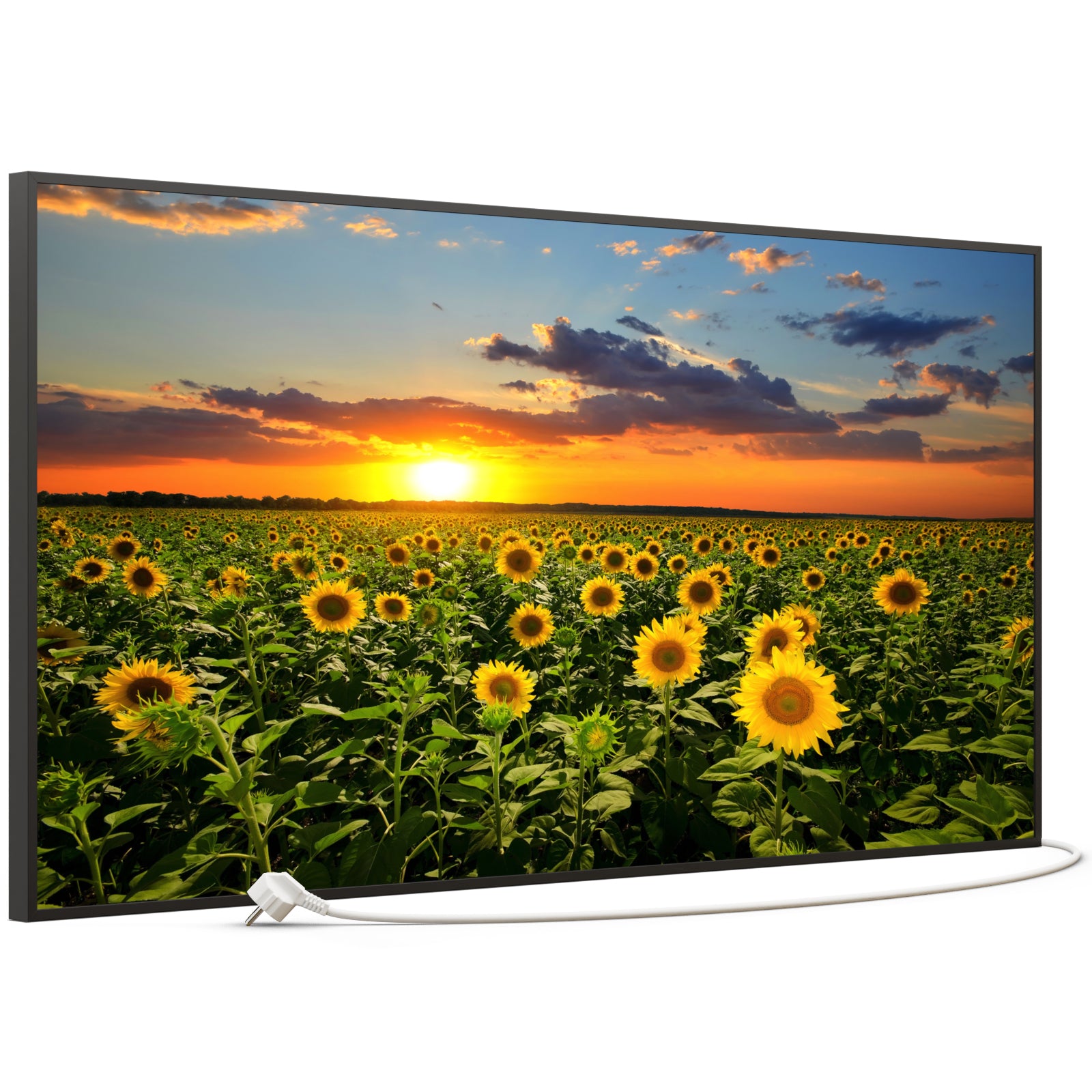 Bild Infrarotheizung B-Ware 750W B19