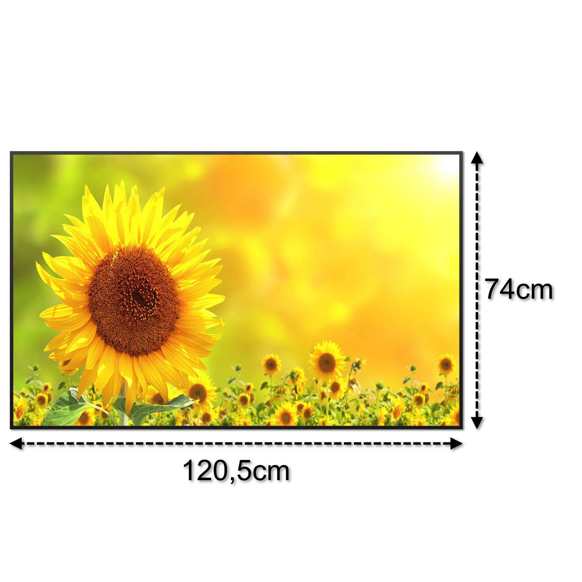 Bild Infrarotheizung B-Ware 900W B41