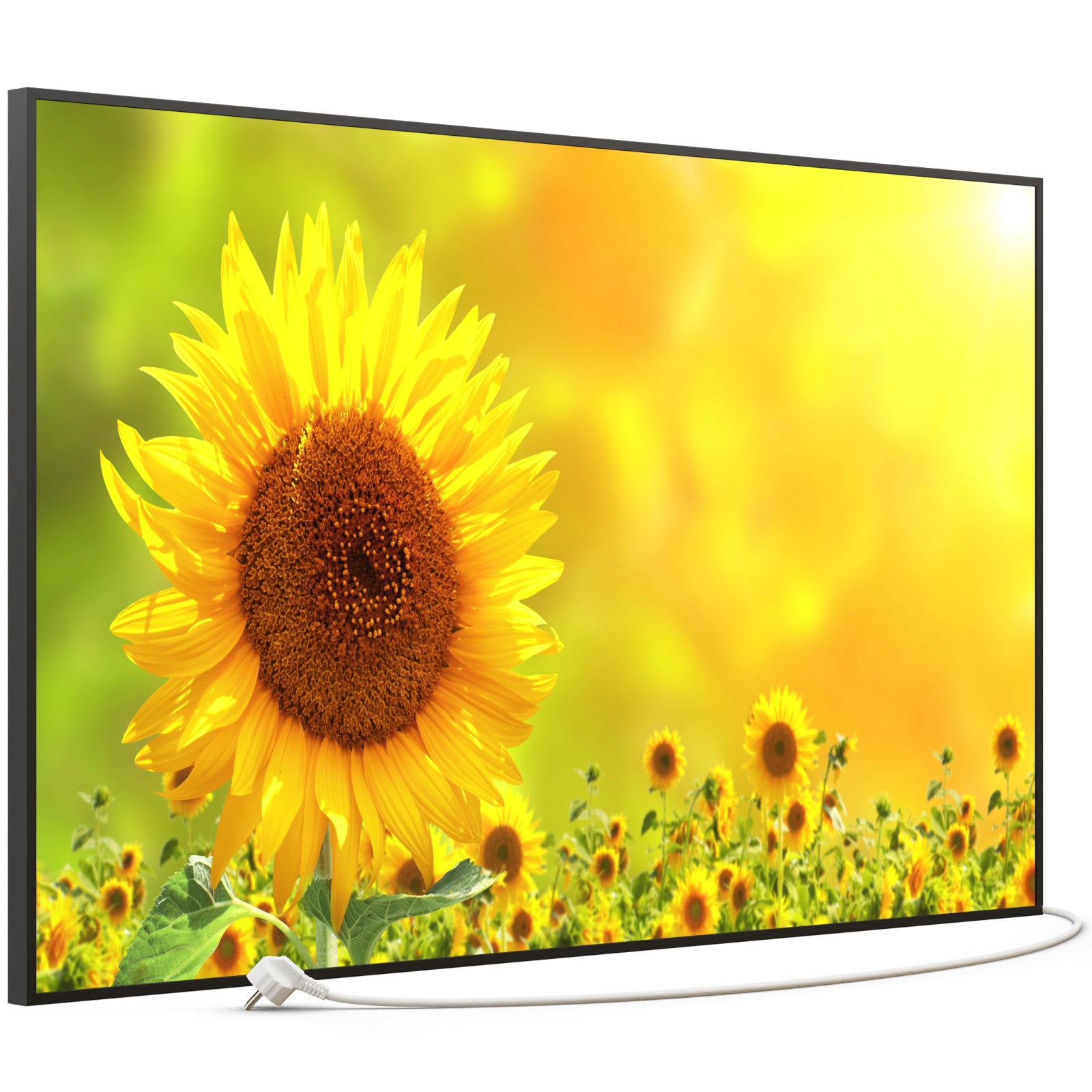 Bild Infrarotheizung B-Ware 900W B41