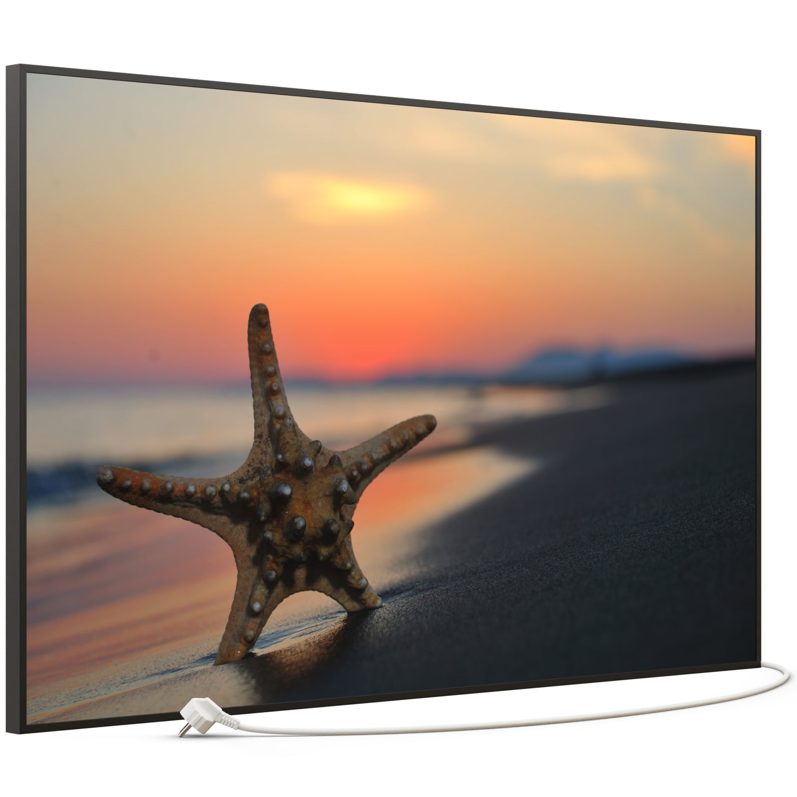 Bild Infrarotheizung B-Ware 900W B06