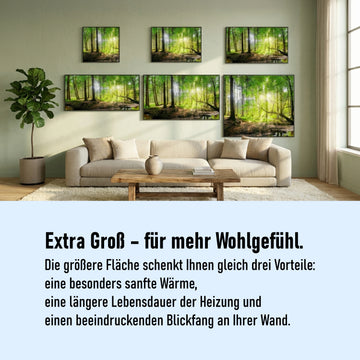 Infrarotheizung Bild Kaktus