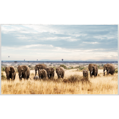STEINFELD Deko Glas Wandbild Motiv 002 Elefanten