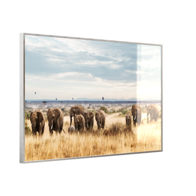 STEINFELD Glas Infrarotheizung 350-1200W Motiv 002 Elefanten