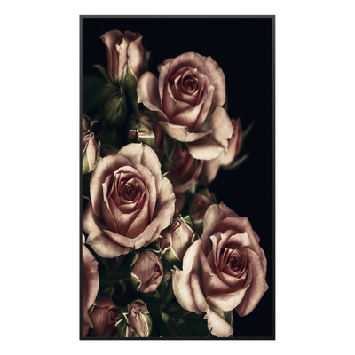 STEINFELD Glas Infrarotheizung 350-1200W Motiv 007H Rosen