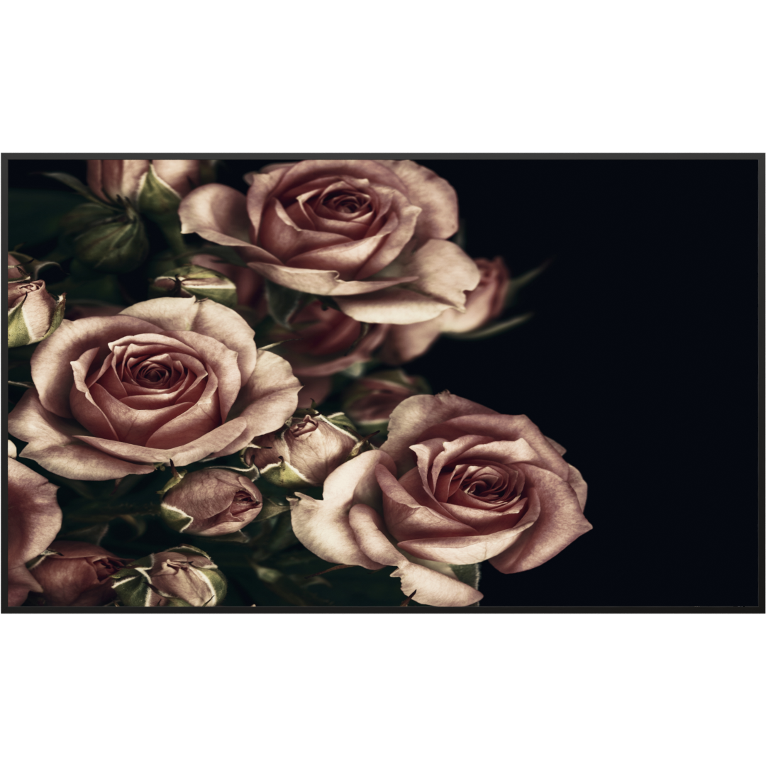 STEINFELD Glas Infrarotheizung 350-1200W Motiv 007 Rosen