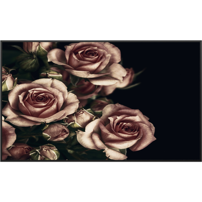 STEINFELD Bild Infrarotheizung 350-1200W Motiv 007 Rosen