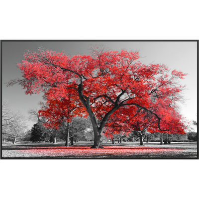 STEINFELD Glas Infrarotheizung 350-1200W Motiv 010 roter Baum