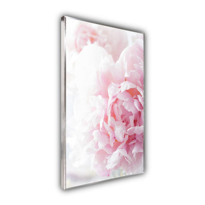 STEINFELD Bild Infrarotheizung 350-1200W Motiv 012H rosa Pfingstrose