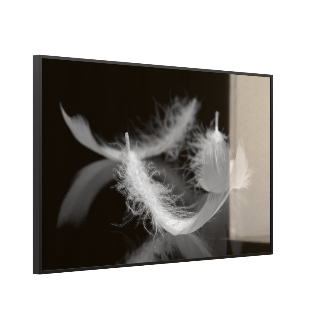 STEINFELD Deko Glas Wandbild Motiv 018 Federn Schwarz Weiß