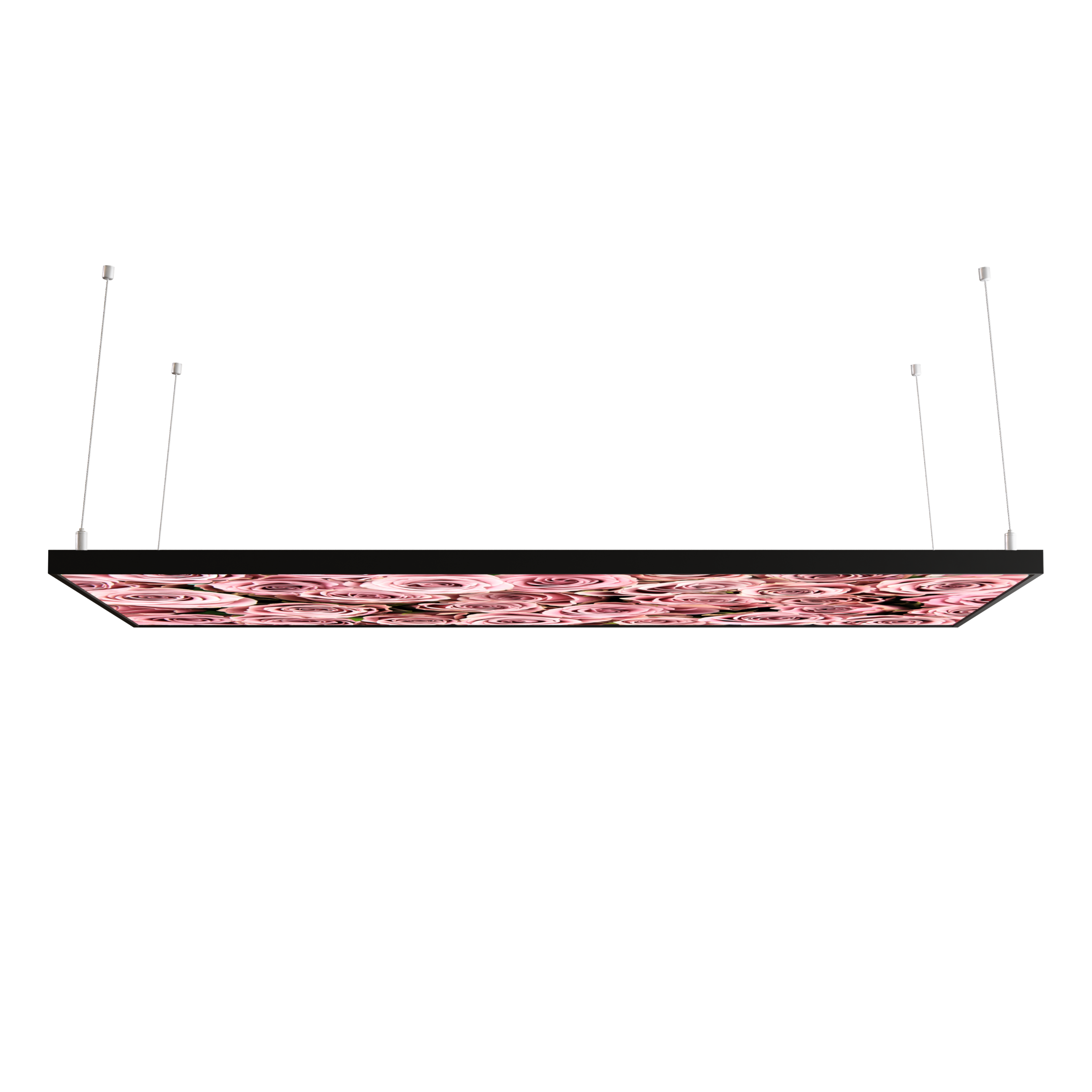 STEINFELD Decken Infrarotheizung 350-1200W Motiv 021 Rosenstrauß