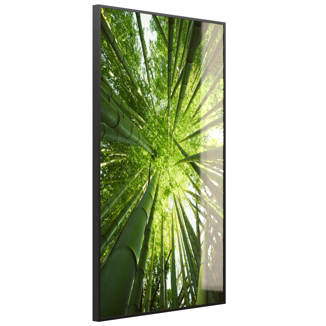 STEINFELD Glas Infrarotheizung 350-1200W Motiv 023H Bambusbaum