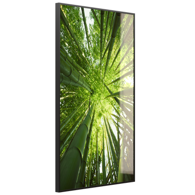 STEINFELD Glas Infrarotheizung 350-1200W Motiv 023H Bambusbaum