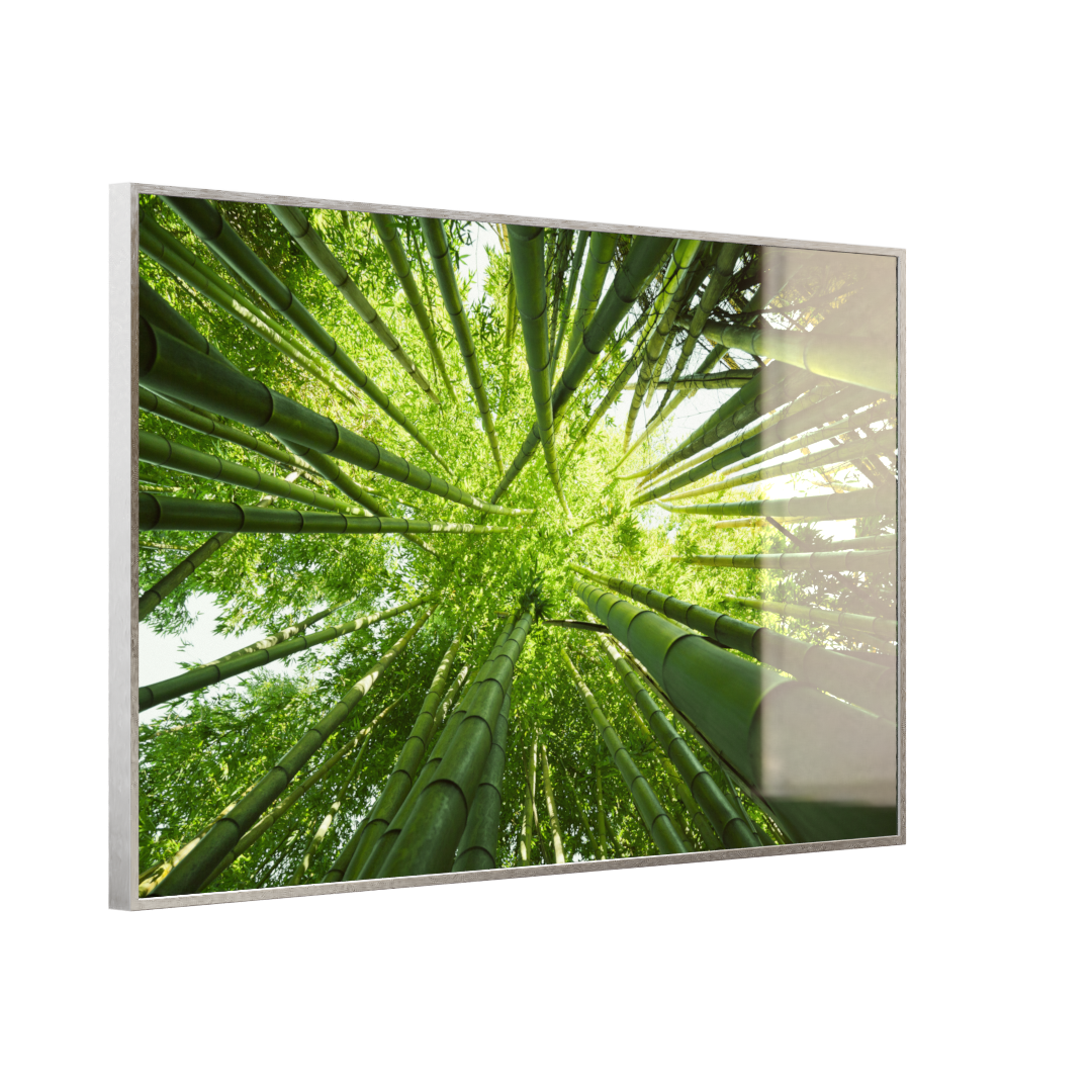 Glas Infrarotheizung 350-1200W Motiv 023 Bambusbaum
