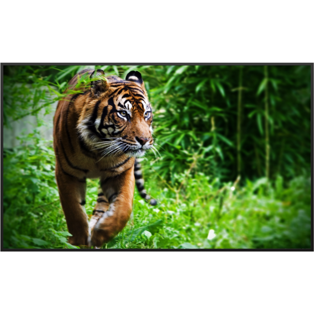 STEINFELD Bild Infrarotheizung 350-1200W Motiv 024 Tiger