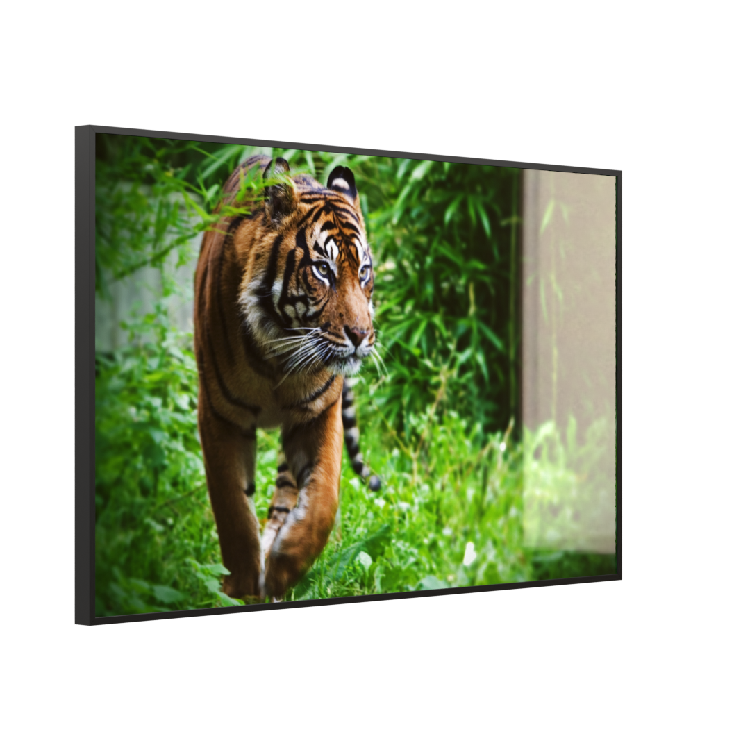 STEINFELD Glas Infrarotheizung 350-1200W Motiv 024 Tiger