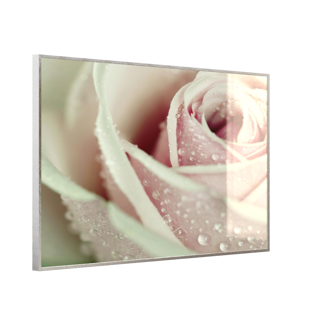 STEINFELD Glas Infrarotheizung 350-1200W Motiv 031 rosa Rose
