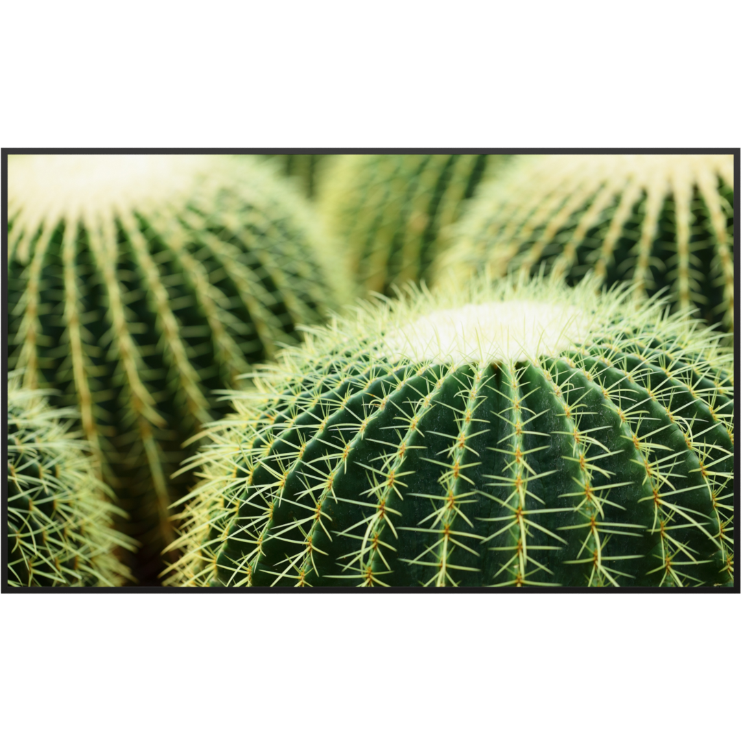 STEINFELD Glas Infrarotheizung 350-1200W Motiv 035 Kaktus