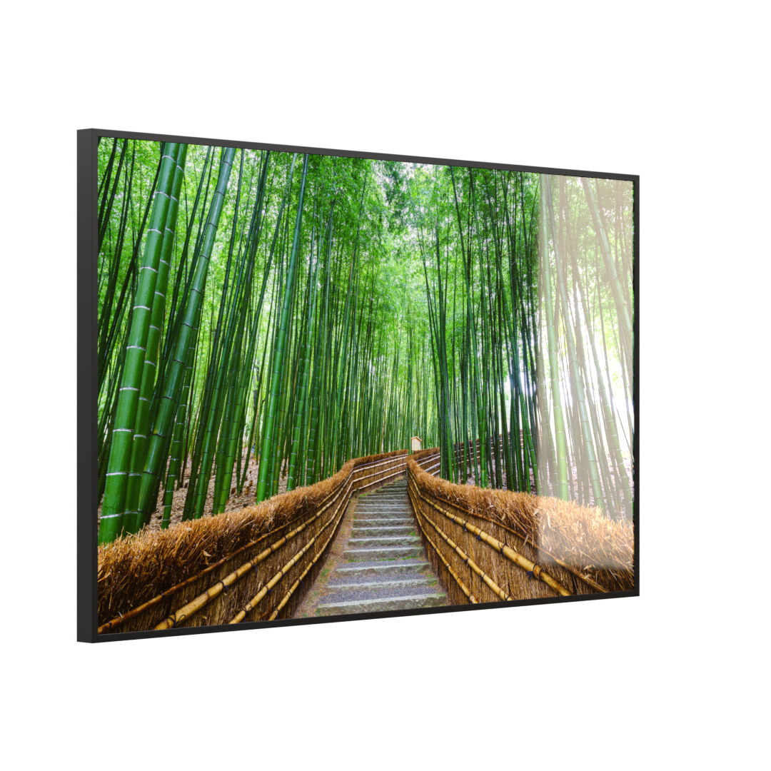 Glas Infrarotheizung 350-1200W Motiv 037 Bambus Wald