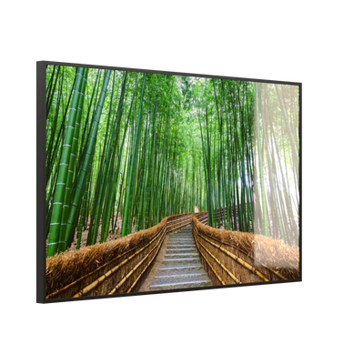 STEINFELD Glas Infrarotheizung 350-1200W Motiv 037 Bambus Wald