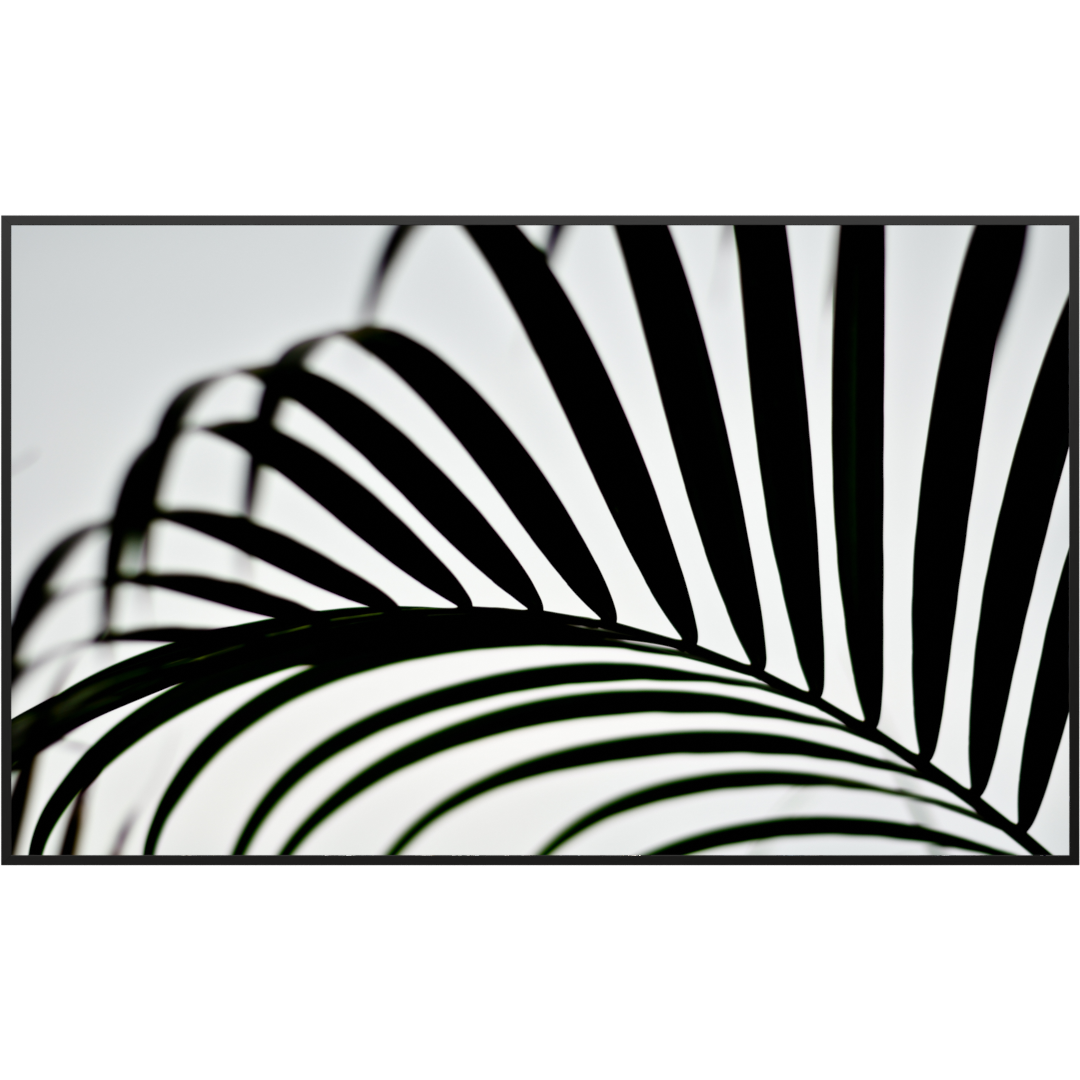 Glas Infrarotheizung 350-1200W Motiv 046 Palmblatt