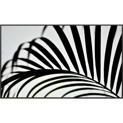 STEINFELD Deko Glas Wandbild Motiv 046 Palmblatt